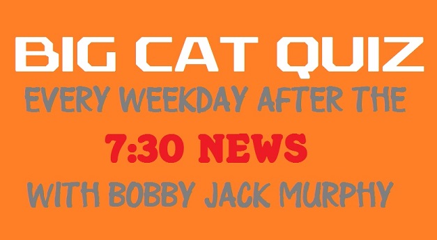 Big Cat Quiz